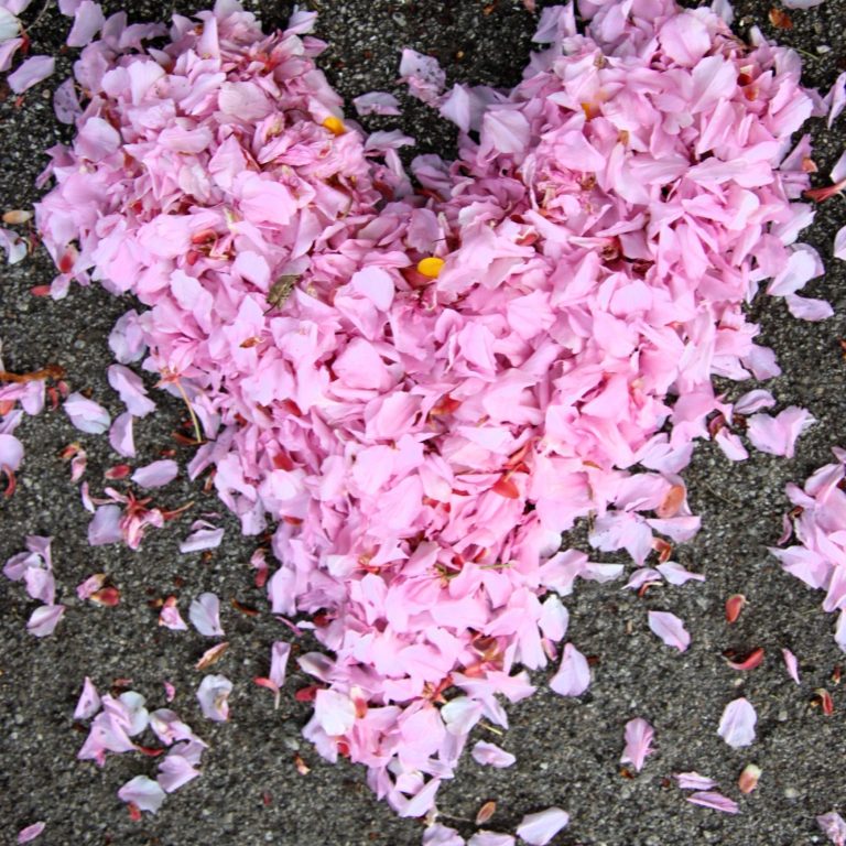 ein herz aus Blütenblättern auf der Straße