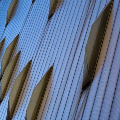 Das Bild zeigt Festerkuppeln auf einer Wandfront